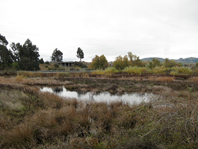 constructed wetlands 